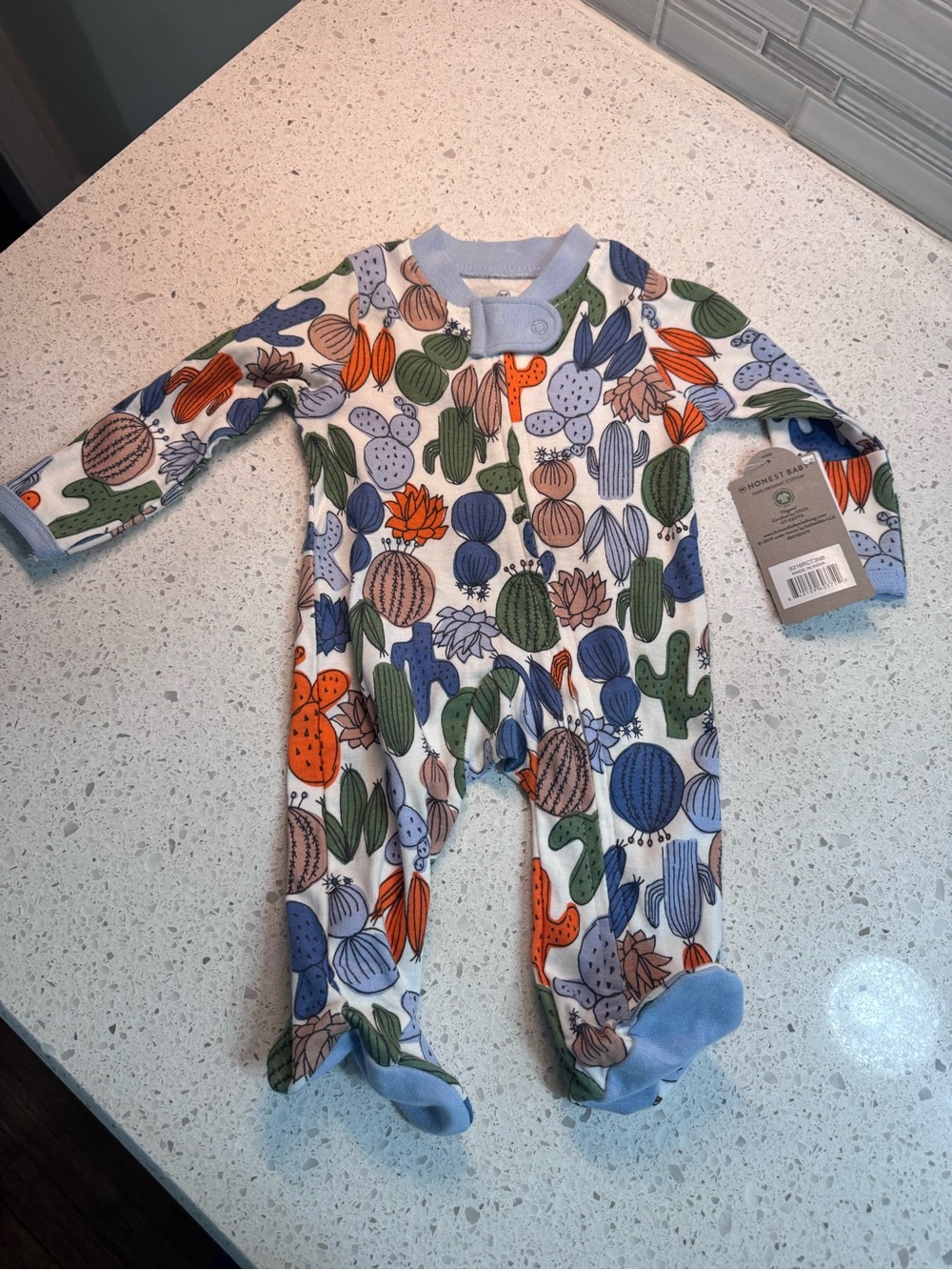 The Honest Baby Blue Cactus Print Footed One-Piece Size Newborn